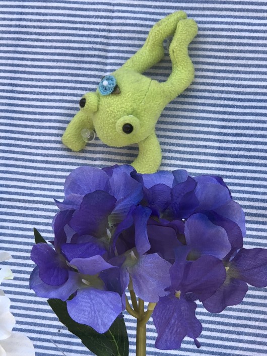 2018-05-10 13.29.57